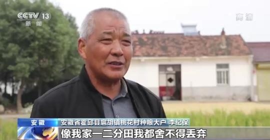 十八連豐！秋收近九成 我國糧食產(chǎn)能穩(wěn)步提升
