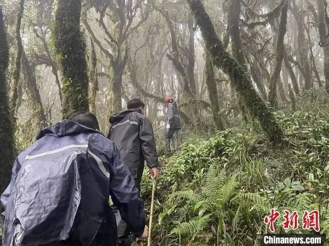 圖為救援現(xiàn)場。鎮(zhèn)沅縣委宣傳部提供