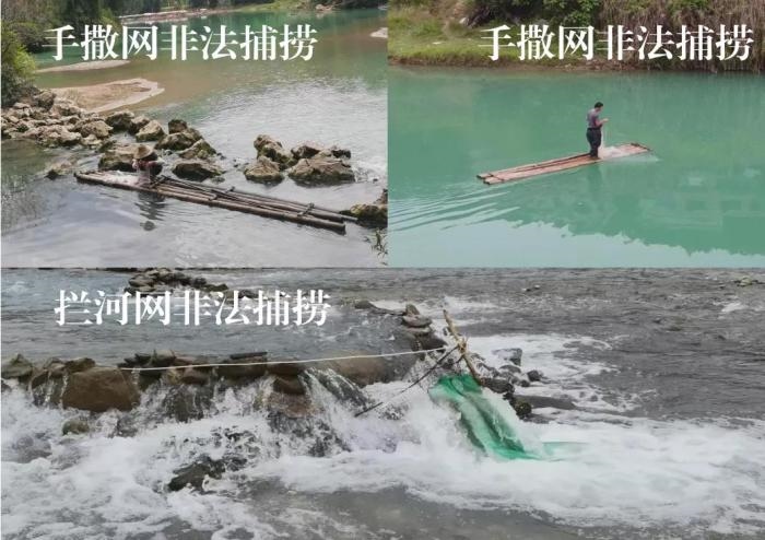 2021年9—10月，前期暗查發(fā)現(xiàn)，保護(hù)區(qū)核心區(qū)內(nèi)非法捕撈行為十分猖獗
