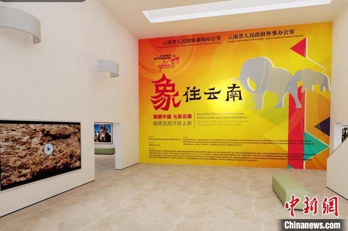 圖為“象”往云南——美麗中國 七彩云南視頻及圖片線上展截圖?！『h航 攝