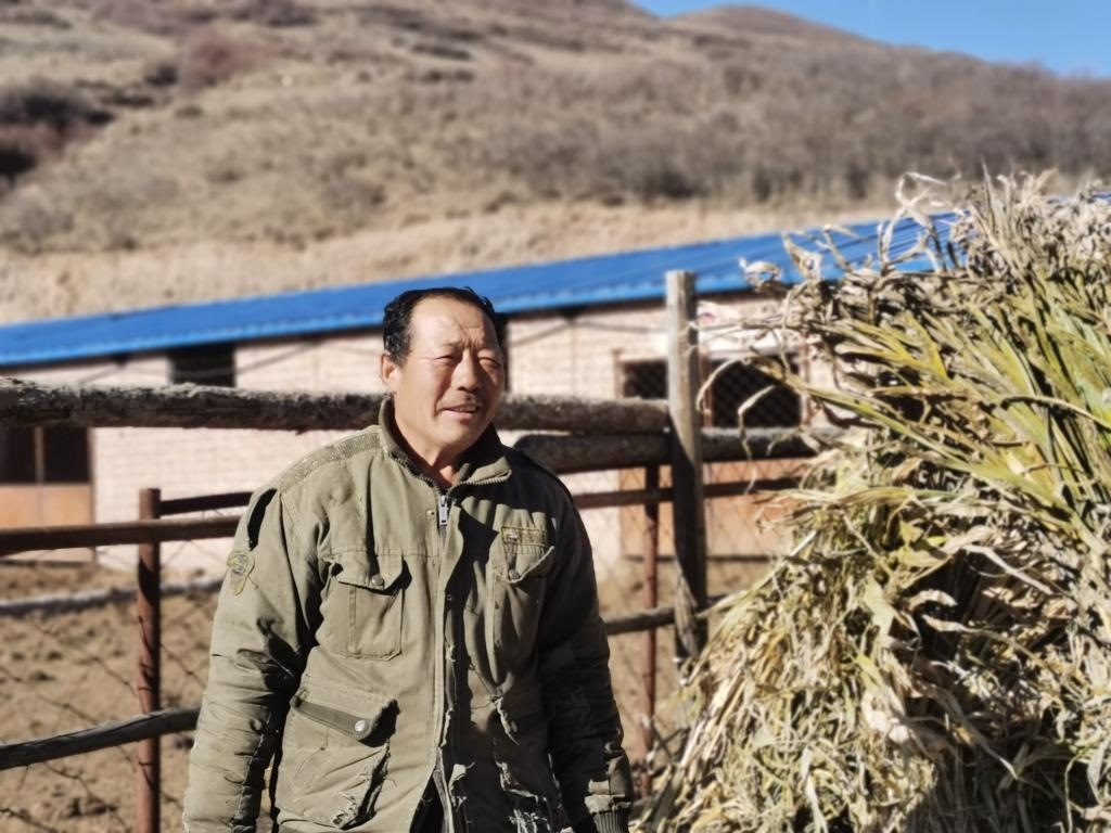 1月19日，山西省岢嵐縣脫貧戶呂如堂在牛圈前準(zhǔn)備草料。新華社記者 梁曉飛 攝
