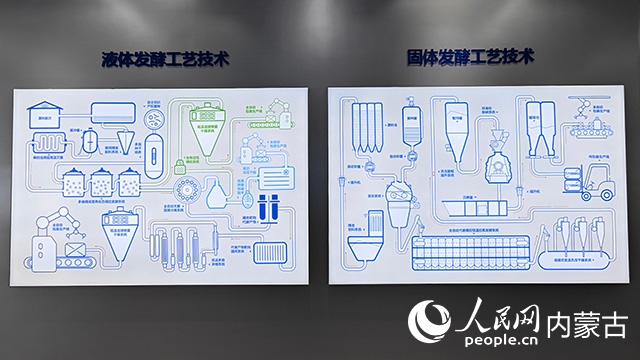 科拓生物工藝技術(shù)展示。人民網(wǎng)記者 張雪冬攝