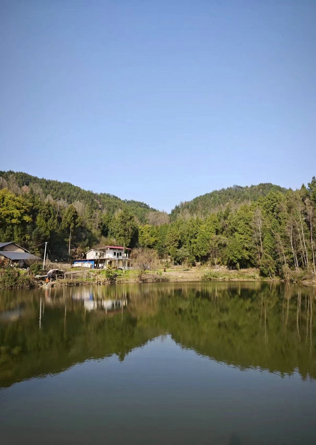 這樣在對面看，老家也算依山傍水.jpg