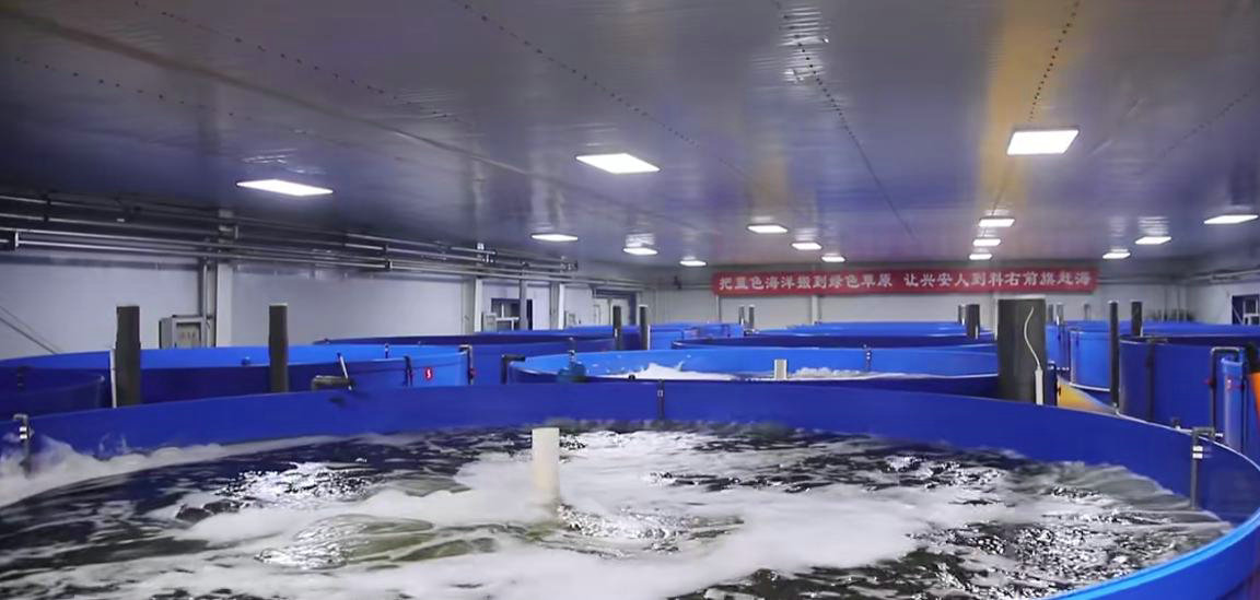 海鮮1.jpg