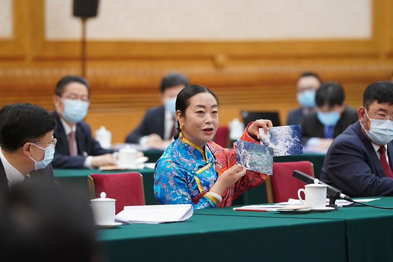 2021年3月7日，習(xí)近平總書記在參加十三屆全國(guó)人大四次會(huì)議青海代表團(tuán)審議時(shí)，全國(guó)人大代表孔慶菊在會(huì)上展示了兩張照片，上面分別是祁連山地區(qū)多年不見蹤跡的雪豹和荒漠貓。