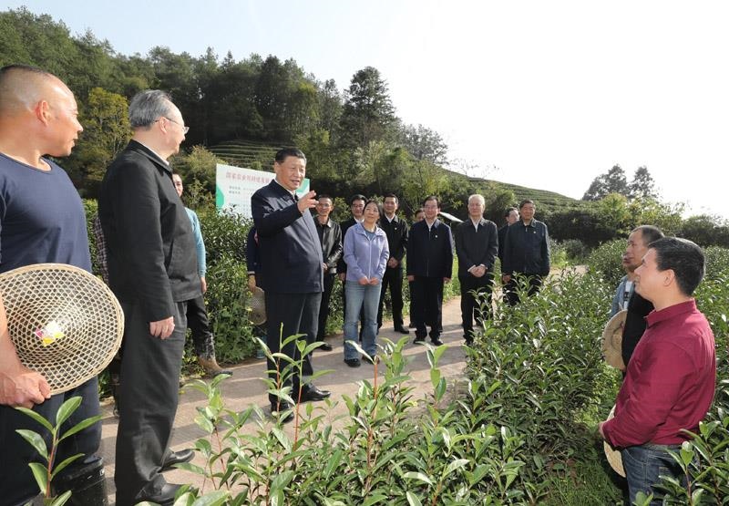 2021年3月22日，習(xí)近平總書記在福建南平武夷山市星村鎮(zhèn)燕子窠生態(tài)茶園，同科技特派員、茶農(nóng)親切交流，了解當(dāng)?shù)夭璁a(chǎn)業(yè)發(fā)展情況。