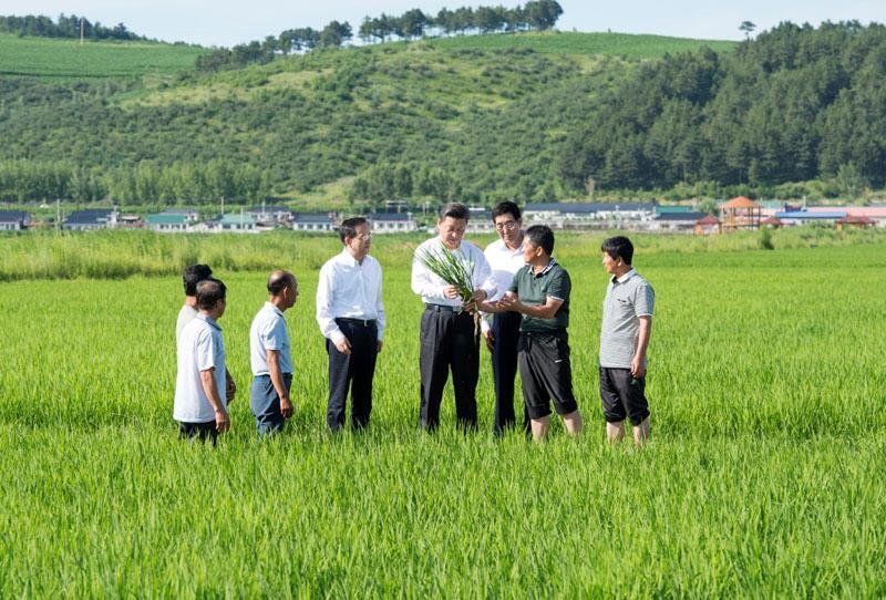 2015年7月16日，習(xí)近平總書記在吉林延邊州光東村稻田同村民和農(nóng)技人員交流。