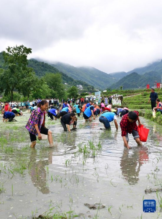 5月27日，秭歸縣九畹溪鎮(zhèn)農(nóng)民參加摸魚比賽。