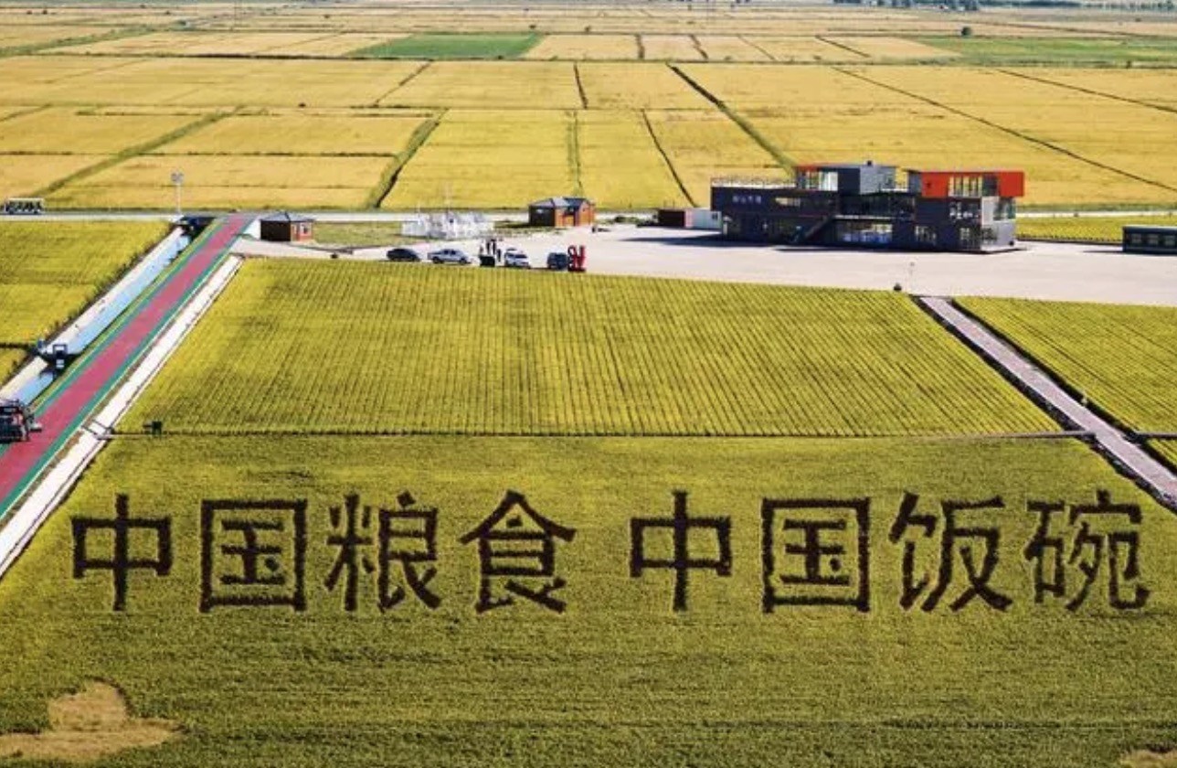 2022年9月2日，黑龍江省富錦市萬畝水稻科技示范園內(nèi)的稻田畫。