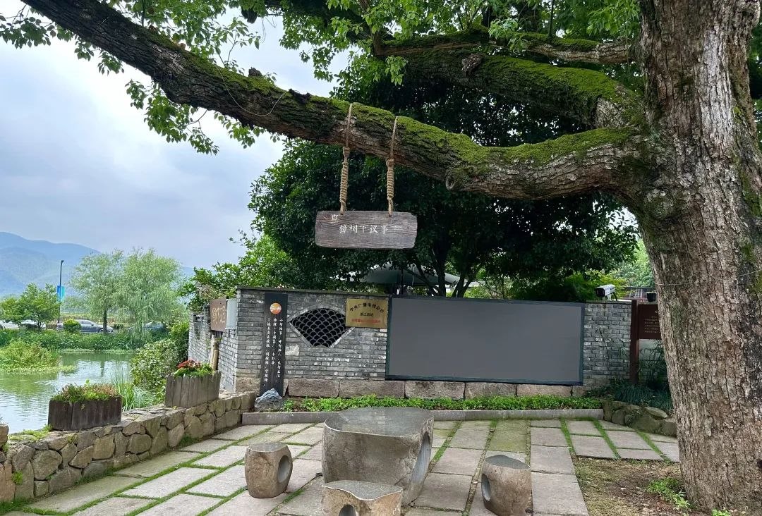 浙江省杭州市余杭區(qū)小古城村的“樟樹下議事”木制字牌。靜玄 攝