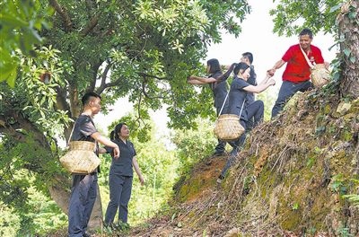 村民幫助志愿者爬上山坡。