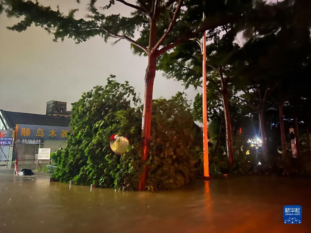 7月17日晚，在廣東湛江海濱大道北，路邊的樹(shù)木被風(fēng)刮倒（手機(jī)照片）。新華社記者 鄧華 攝
