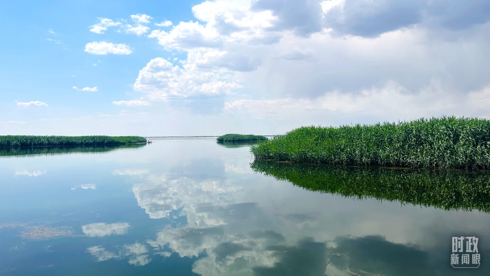 內(nèi)蒙古烏梁素海，是黃河流域最大的湖泊濕地。（總臺央視記者范一鳴拍攝）