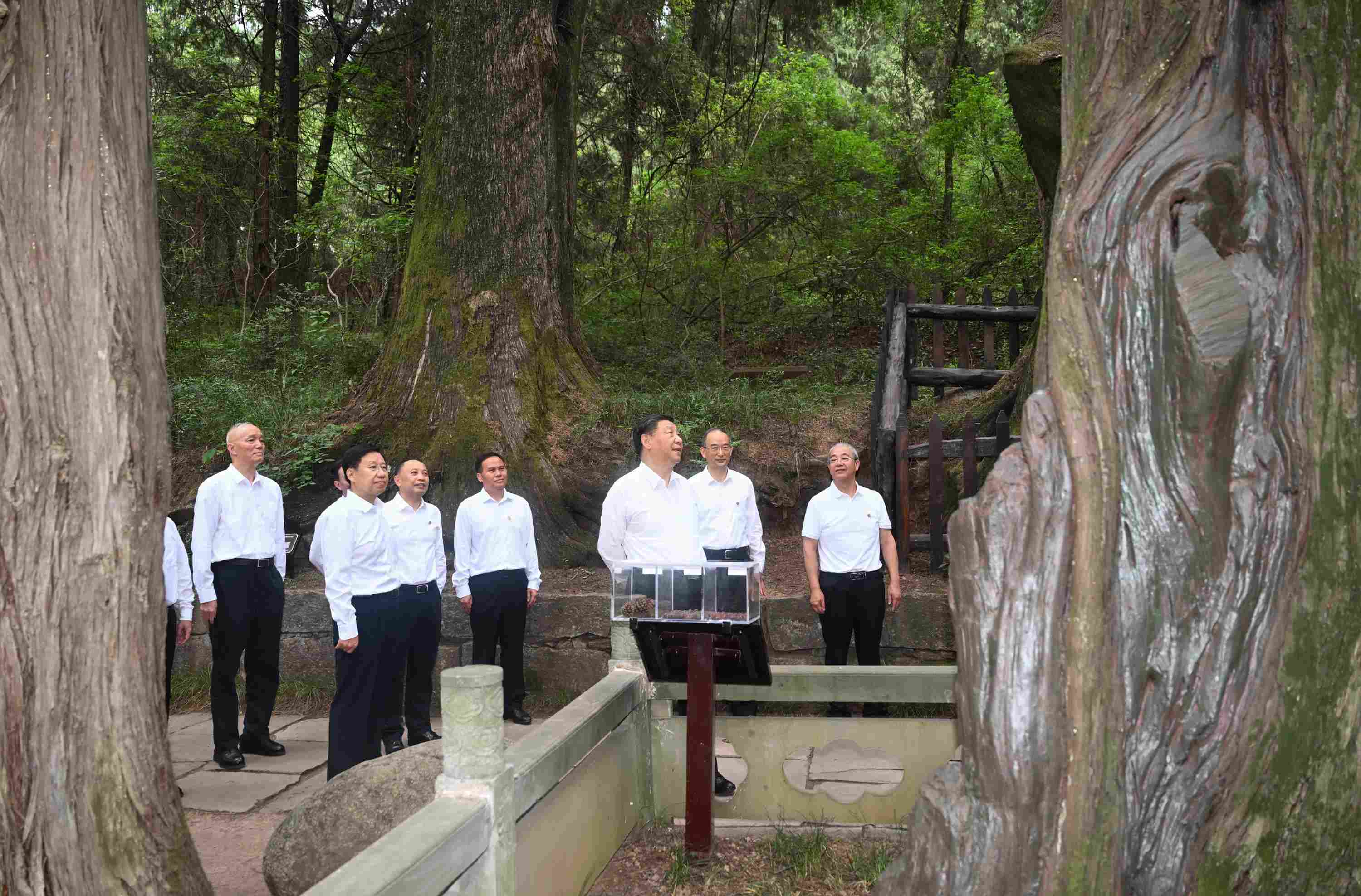 △2023年7月25日，習近平總書記在四川省廣元市考察了翠云廊古蜀道，了解當?shù)赝七M歷史文化傳承、加強生態(tài)文明建設(shè)等情況。