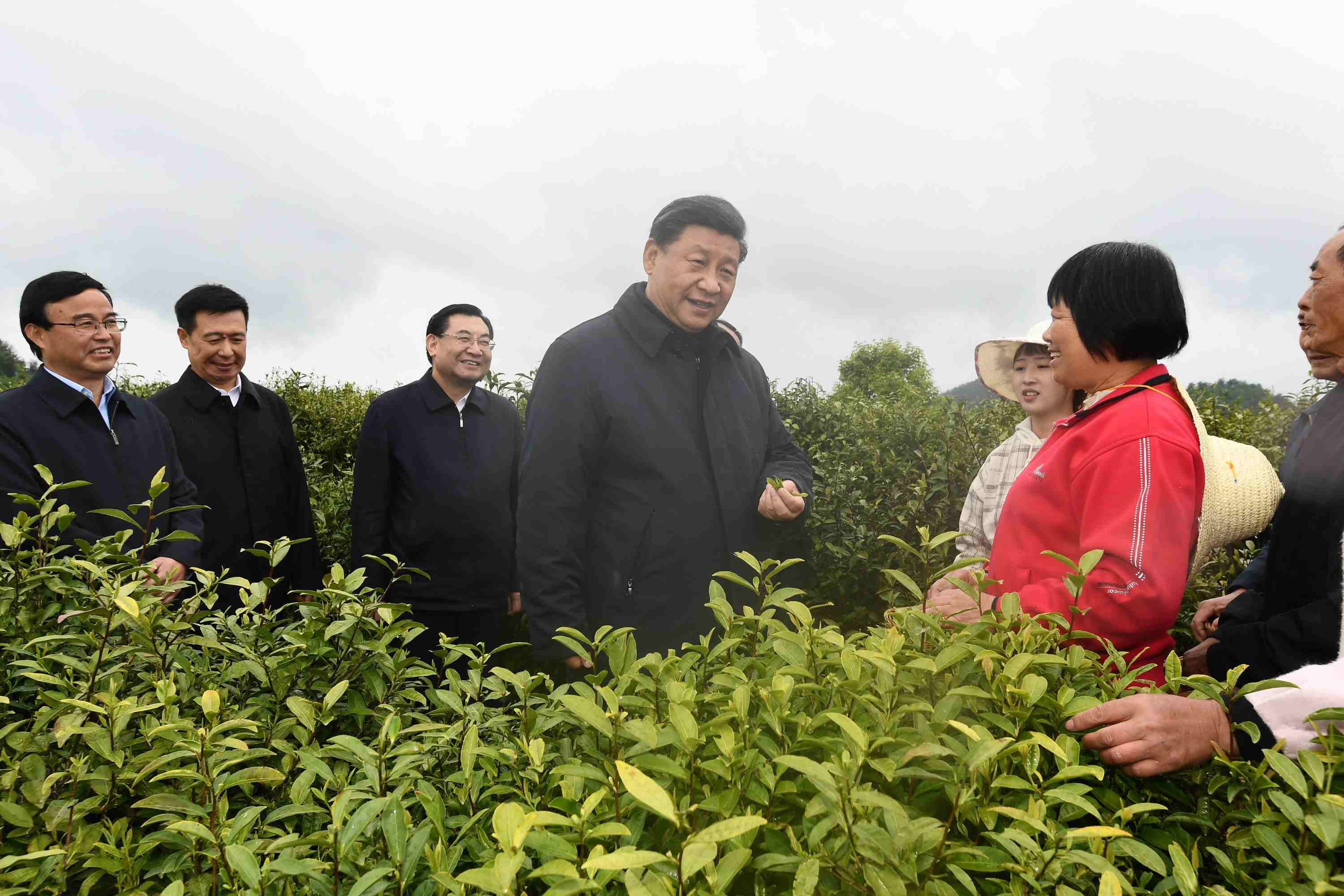 4月20日至23日，中共中央總書記、國(guó)家主席、中央軍委主席習(xí)近平在陜西考察。這是4月21日，習(xí)近平在安康市平利縣老縣鎮(zhèn)蔣家坪村女媧鳳凰茶業(yè)現(xiàn)代示范園區(qū)，同茶農(nóng)們親切交談。