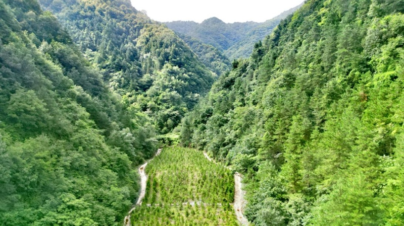 建設(shè)中的西氣東輸三線中段。受訪者供圖