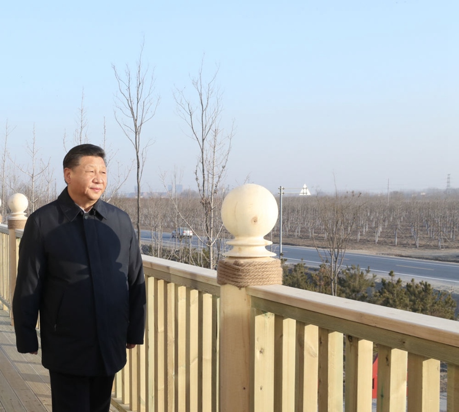 2019年1月16日，習(xí)近平在河北雄安新區(qū)考察調(diào)研。在“千年秀林”大清河片林一區(qū)造林區(qū)域，習(xí)近平登上秀林驛站二層平臺(tái)遠(yuǎn)眺林區(qū)全貌。