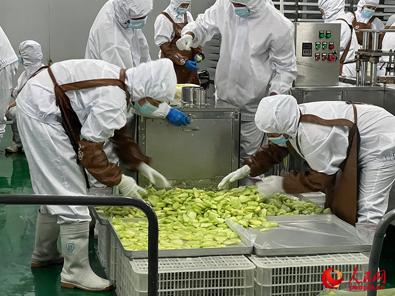 切片哈密瓜將被做成凍干食品。人民網(wǎng)記者 常雪梅攝