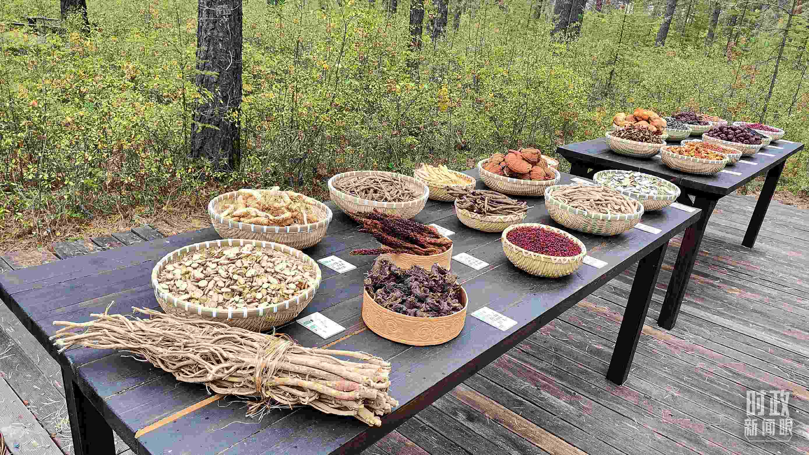 △林場里的食用菌、林果等特產(chǎn)。（總臺央視記者楊立峰拍攝）