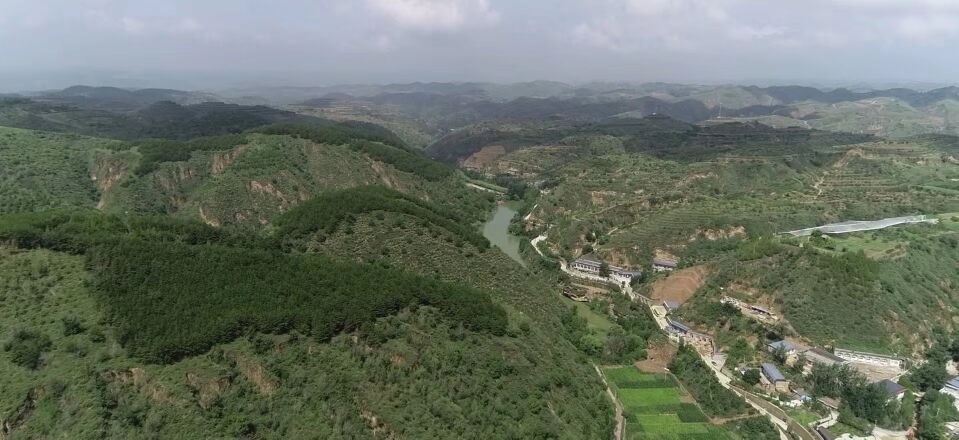 黃土溝壑中的高西溝村滿眼綠色（無人機(jī)照片，2023年7月26日）。新華社記者陳昌奇 攝