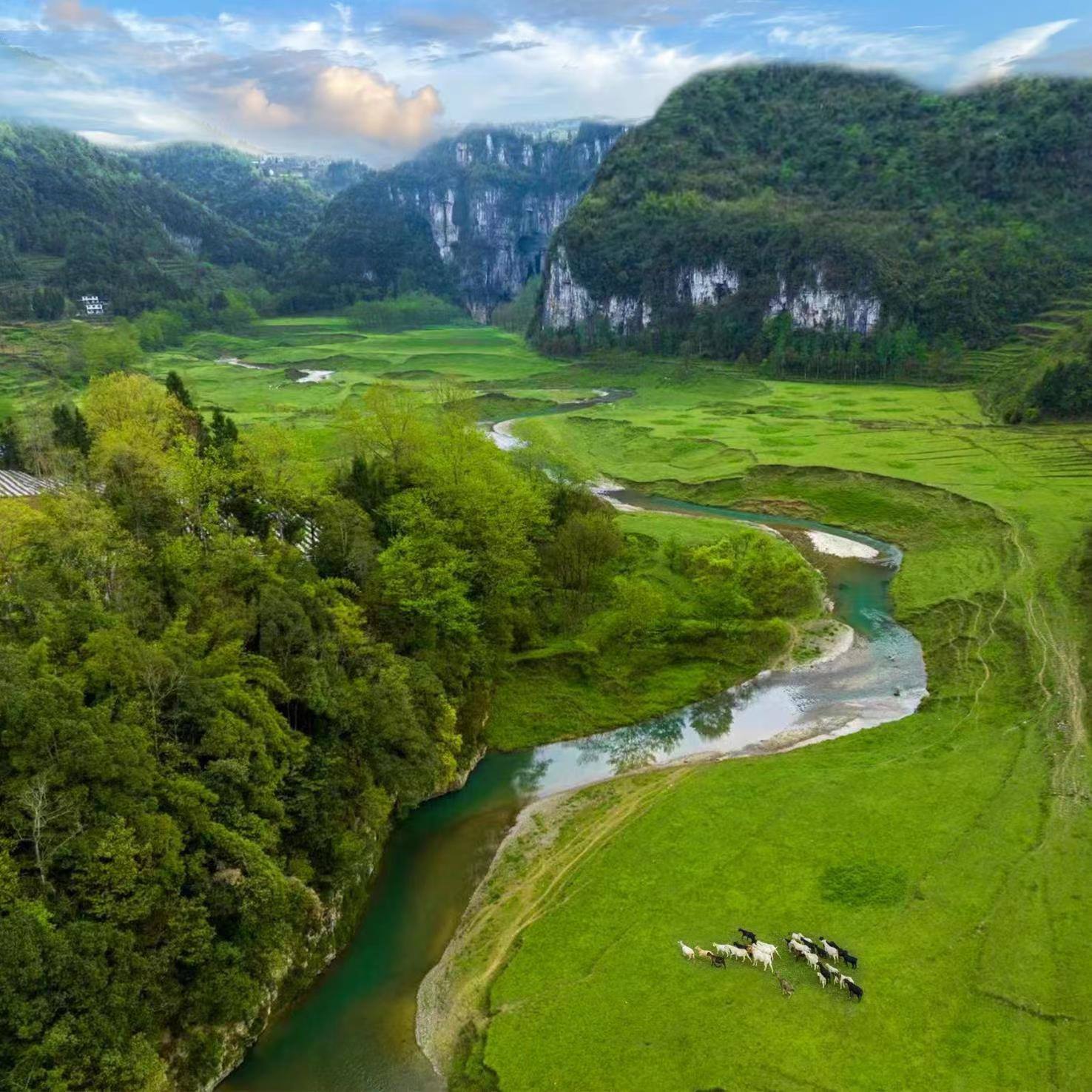 棣棠鄉(xiāng)龍氼孔千畝大草原自駕露營基地。棣棠鄉(xiāng)人民政府供圖