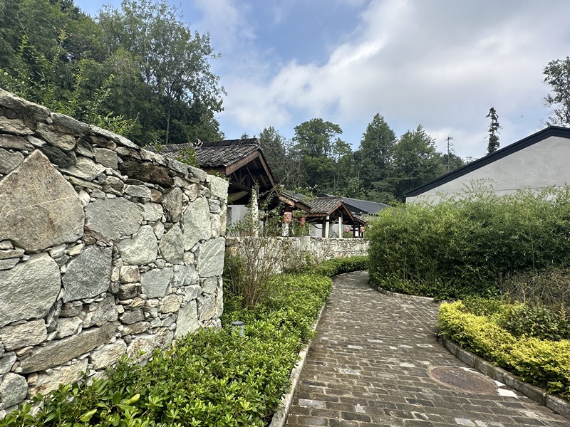眾多民宿坐落于夫子山山麓。人民網(wǎng) 王紹紹攝