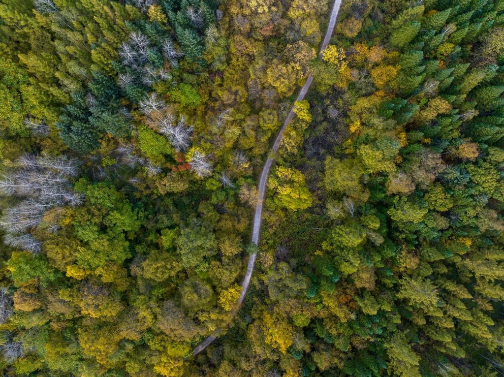 綠意盎然的長白山地區(qū)。王哲攝
