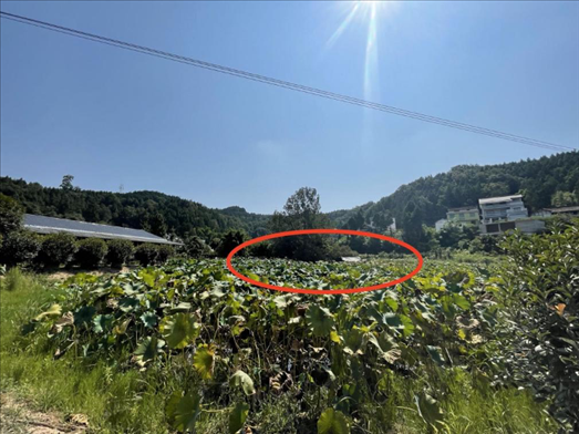 曾經(jīng)的圣水園所在地。 人民網(wǎng)記者 楊喬攝