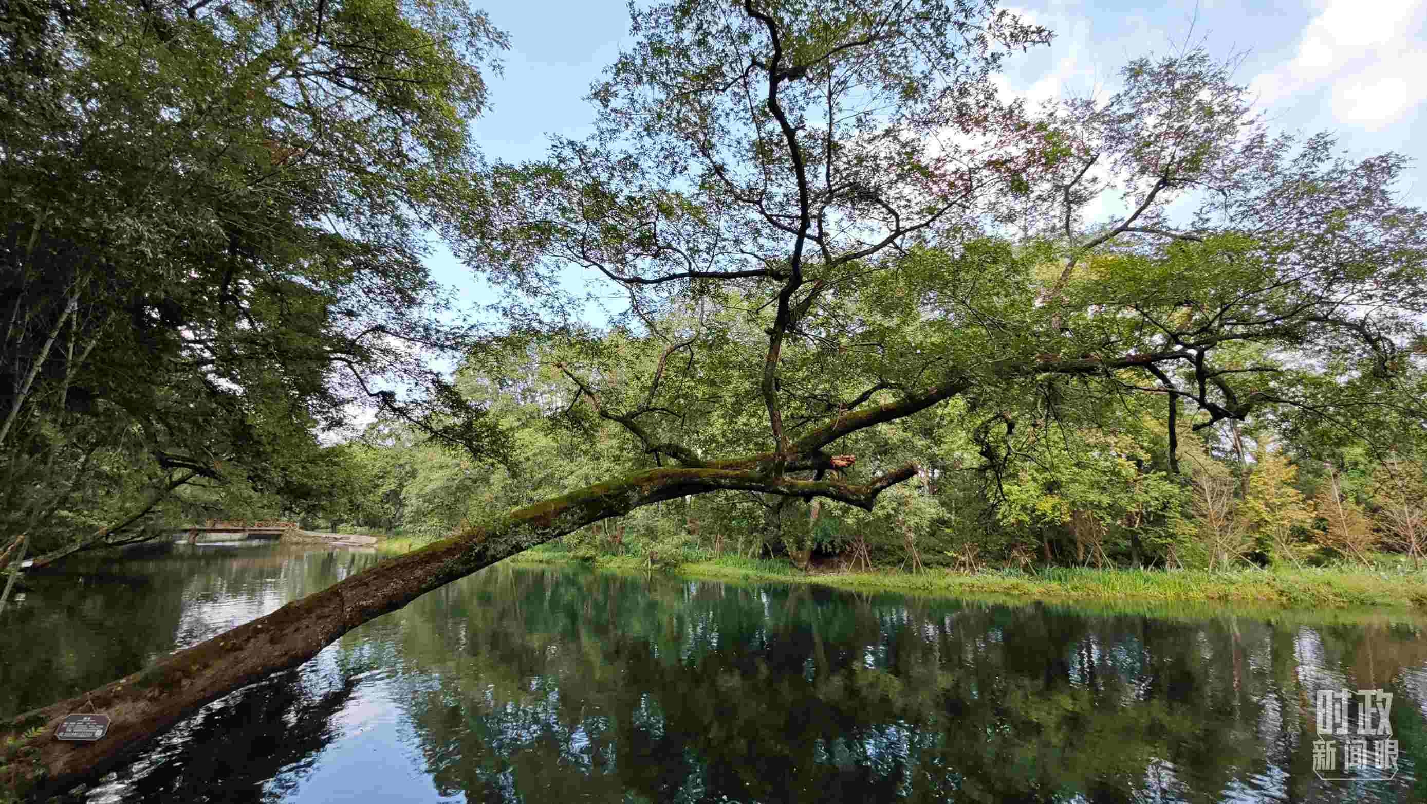 △饒河源國(guó)家濕地公園。（總臺(tái)央視記者郁振一拍攝）