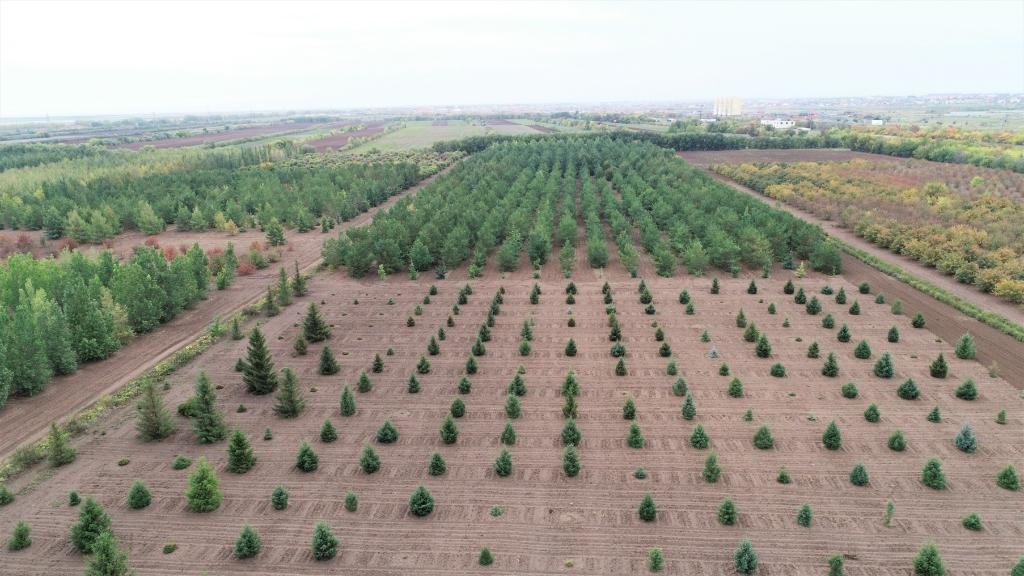 這是2023年9月11日在哈薩克斯坦首都阿斯塔納拍攝的一處植物種質(zhì)資源苗圃（無人機(jī)照片）。新華社發(fā)（法爾哈特·圖克諾夫 攝）