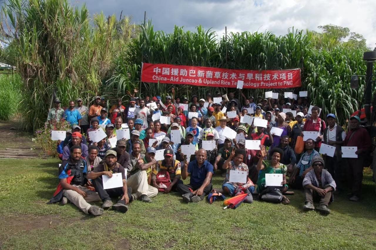 △2020年12月17日，在巴布亞新幾內(nèi)亞東高地省，參加中國援助巴新菌草和旱稻技術(shù)項目第9期培訓(xùn)班的當(dāng)?shù)孛癖娬故窘Y(jié)業(yè)證書。