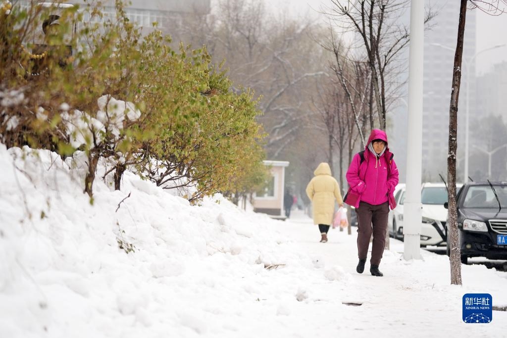 11月16日，市民在雪中前行。當(dāng)日，黑龍江哈爾濱市迎來雨雪天氣。新華社記者 王建威 攝