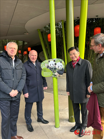 中國駐德國大使吳懇（右二）、柏林市長韋格納（左二）、動(dòng)物園園長克尼里姆（右一）和監(jiān)事會(huì)主席布魯克曼（左一）共同為“夢想”“夢圓”大熊貓紀(jì)念牌揭幕。人民網(wǎng)記者 徐馨攝