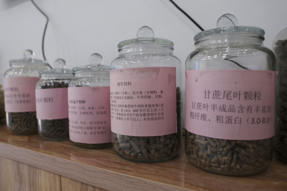這是12月13日在來賓市興賓區(qū)小平陽(yáng)鎮(zhèn)一家飼料廠拍攝的以甘蔗尾葉為原料制成的飼料。