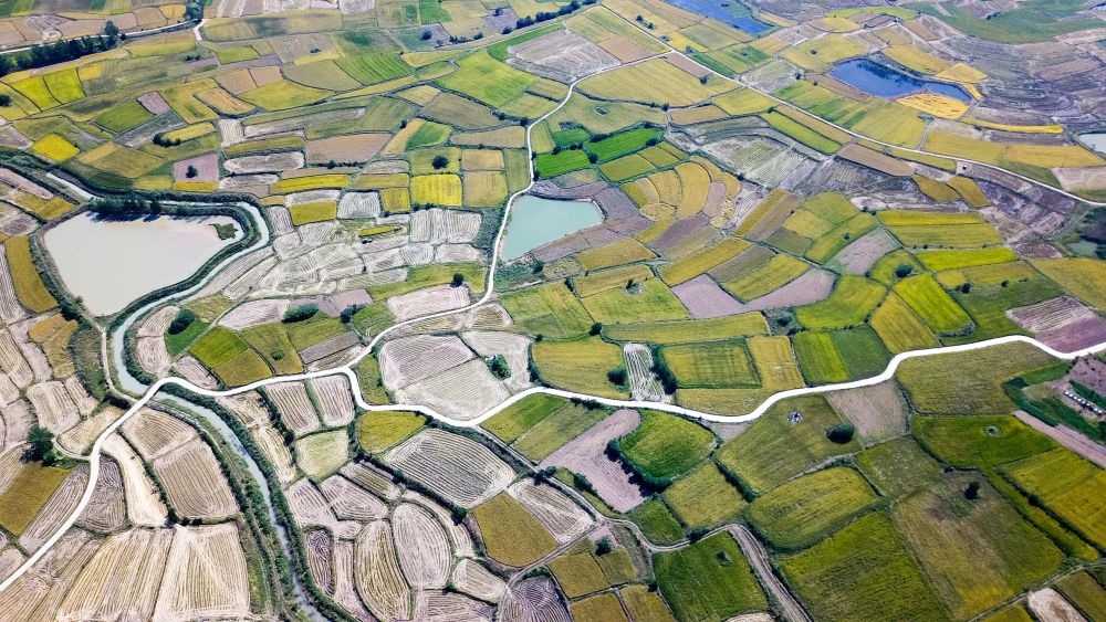 安徽省鳳陽(yáng)縣小崗村的田野景象（2018年9月27日攝，無(wú)人機(jī)照片）。新華社記者 張端 攝