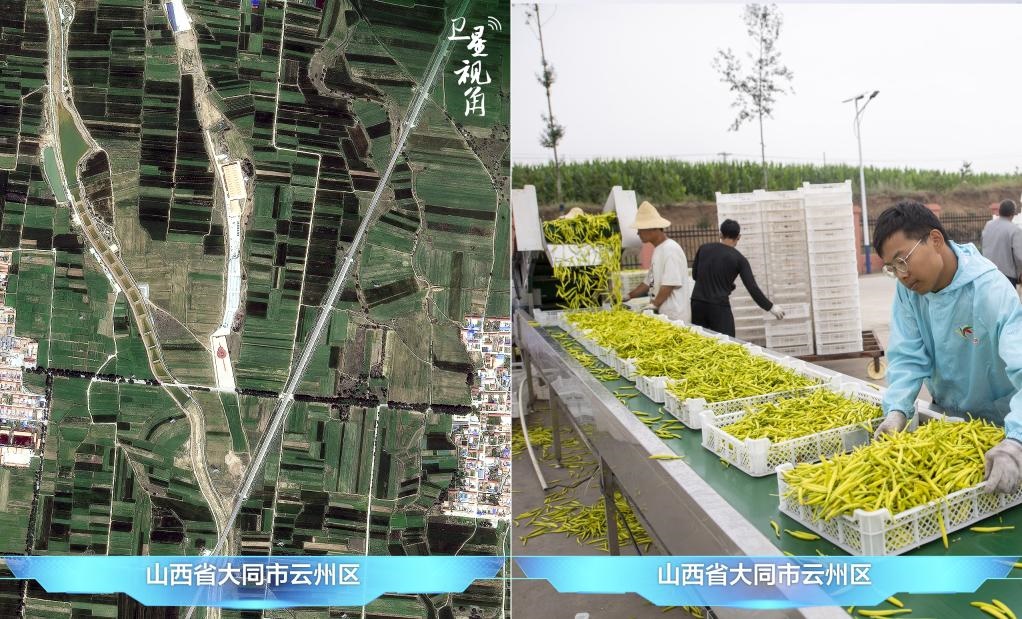 當(dāng)前，大同市開發(fā)黃花菜品、食品、飲品、功能食品、化妝品、文創(chuàng)產(chǎn)品六大系列130余種，全產(chǎn)業(yè)鏈產(chǎn)值超40億元。