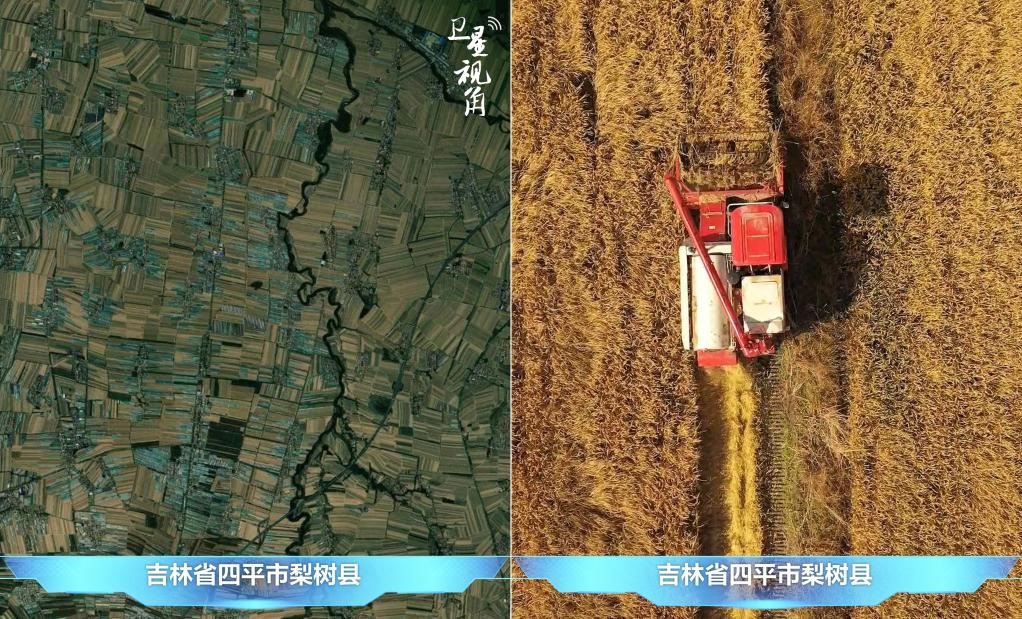 隨著現(xiàn)代化農(nóng)機(jī)普及應(yīng)用，保護(hù)性耕作“梨樹模式”得以大面積推廣，不僅使黑土地保護(hù)與利用持續(xù)深入，更為糧食作物高產(chǎn)穩(wěn)產(chǎn)助力。