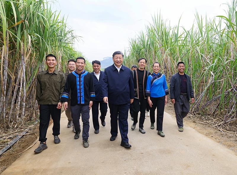 2023年12月14日，習(xí)近平總書記在廣西來賓市國家現(xiàn)代農(nóng)業(yè)產(chǎn)業(yè)園黃安優(yōu)質(zhì)“雙高”糖料蔗基地考察。
