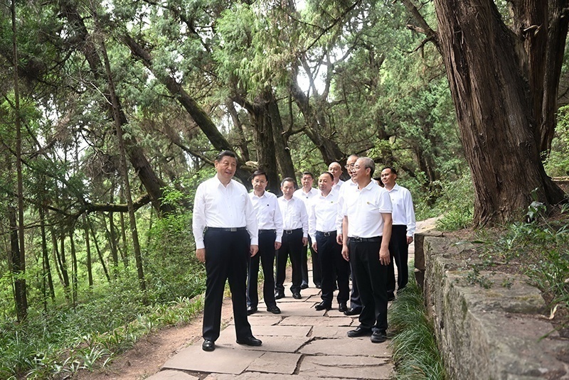 2023年7月25日，習(xí)近平總書記在四川廣元市劍閣縣翠云廊考察。新華社記者 謝環(huán)馳 攝