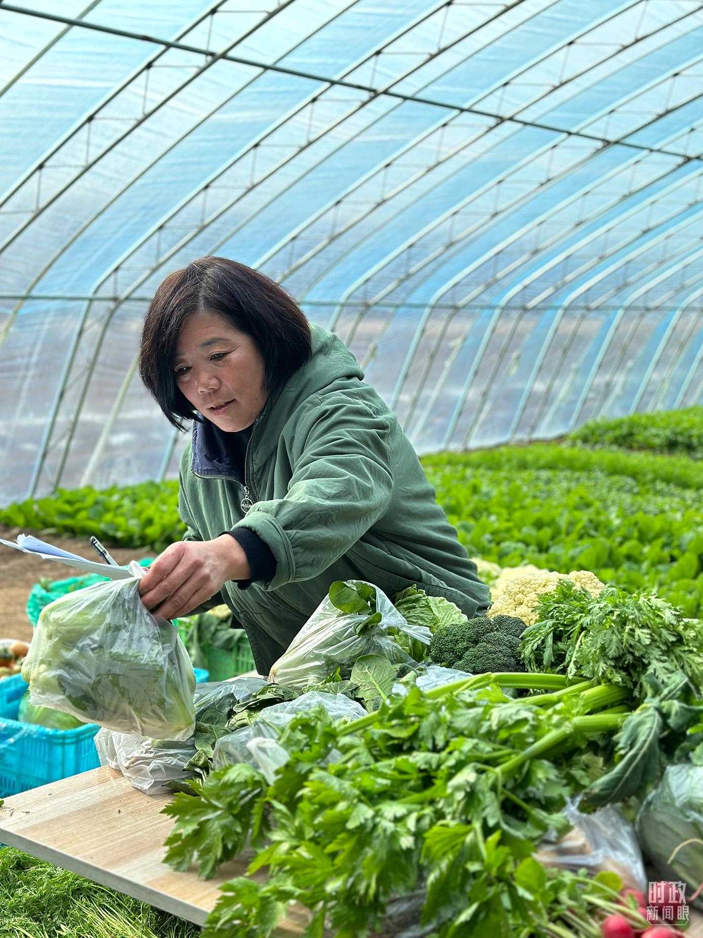 △第六埠村村民正在打包分裝蔬菜。（總臺央視記者盧心雨拍攝）