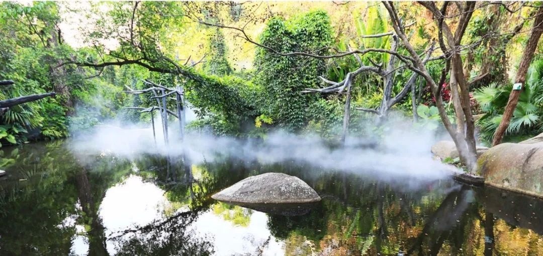 △鼓浪嶼-萬石山風(fēng)景名勝區(qū)重要組成部分廈門園林植物園熱門景點“雨林世界”。
