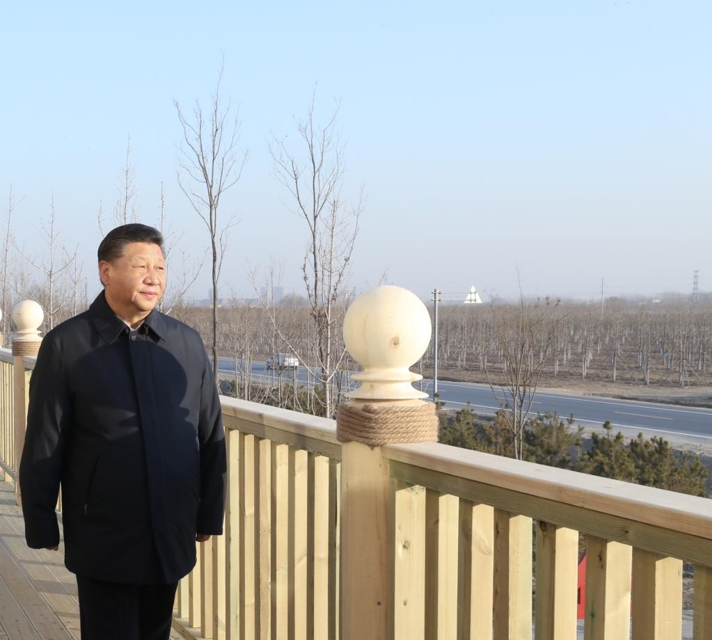2019年1月16日，在河北雄安新區(qū)“千年秀林”大清河片林一區(qū)造林區(qū)域，習(xí)近平總書記登上秀林驛站二層平臺(tái)遠(yuǎn)眺林區(qū)全貌。新華社記者 鞠鵬 攝