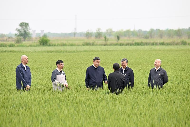 △2023年5月11日，習近平總書記在河北滄州黃驊市舊城鎮(zhèn)仙莊片區(qū)旱堿地麥田同種植戶、農技專家親切交流。
