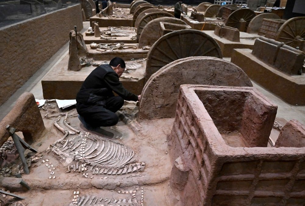 工作人員在殷墟博物館新館的展廳內(nèi)修復(fù)車馬遺跡（2月23日攝）。