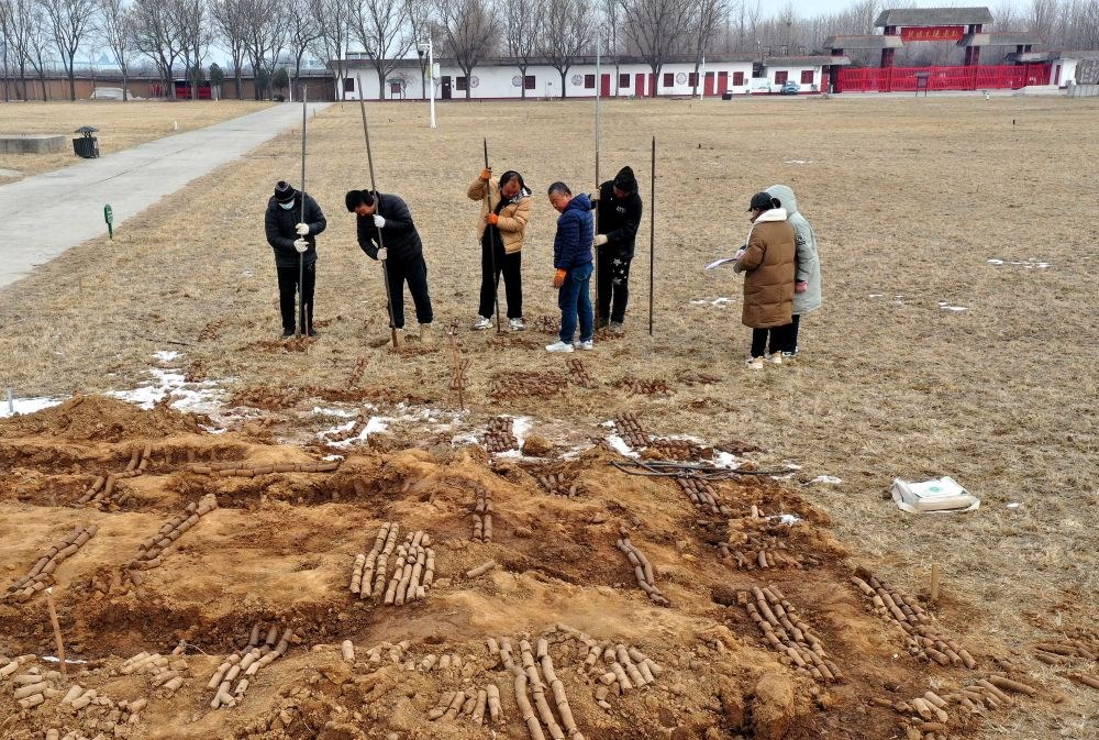 在殷墟王陵遺址，工作人員在勘探圍溝范圍（2月24日攝）。