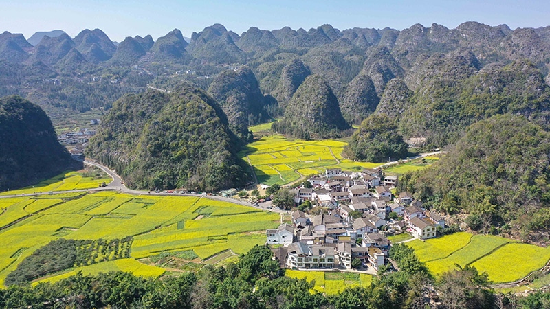 2024年2月17日，貴州省興義市萬峰林景區(qū)的油菜花海景色（無人機照片）。