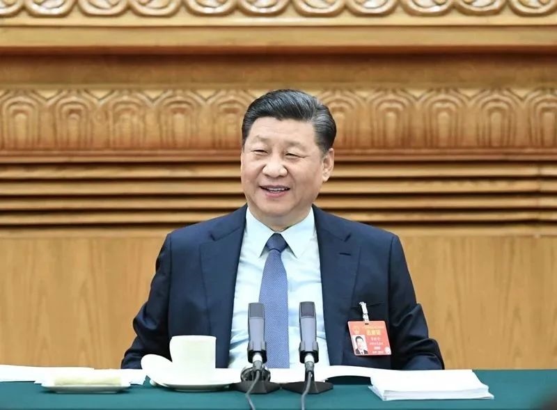 2019年3月8日，習近平參加十三屆全國人大二次會議河南代表團的審議。新華社記者 謝環(huán)馳 攝