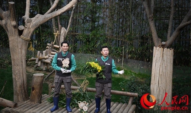 熊貓飼養(yǎng)員姜哲遠和宋永寬向媒體介紹為“福寶”準備的送別禮物。人民網(wǎng) 李帆攝