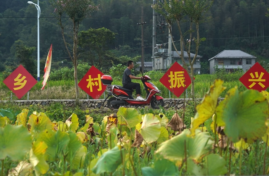 2023年8月24日拍攝的江西省靖安縣璪都鎮(zhèn)港背村一景。該村在當(dāng)?shù)卣С窒?，修古建，建民宿，搞開發(fā)，引進(jìn)竹筏漂流、觀光采摘、農(nóng)耕體驗(yàn)、森林研學(xué)等多種旅游業(yè)態(tài)，建成新田園生態(tài)度假小鎮(zhèn)，發(fā)展鄉(xiāng)村旅游，走上致富路。