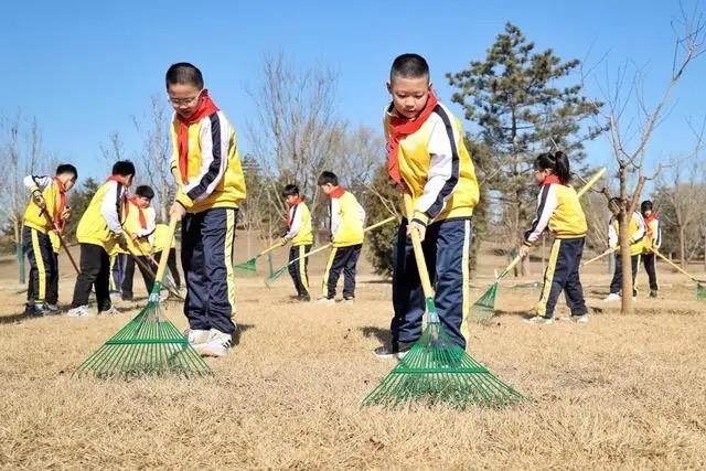 △2024年3月12日，北京城市綠心森林公園，參加植樹節(jié)主題活動的學(xué)生們學(xué)習(xí)義務(wù)植樹知識，并進(jìn)行現(xiàn)場撫育管護(hù)。
